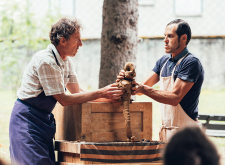 FESTI'VAL D'OLT 2026 - PRISE DE TERRE 