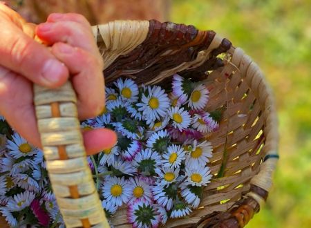 JOURNÉE AVEC LES SECRETS DES CÉVENNES 