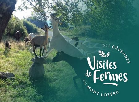 VISITES DE FERMES 2026 : LA FERME DE FOLIE 