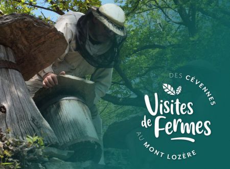 VISITES DE FERMES 2026 : L'ARBRE AUX ABEILLES 