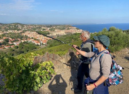 BALADE VINOHRANDO DANS LES VIGNES ! 