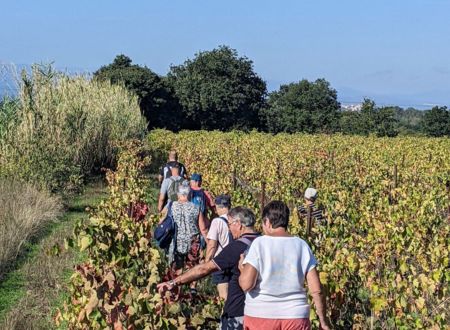 DOMAINE MAS GREGORI : BALADE DINATOIRE DANS LES VIGNES 