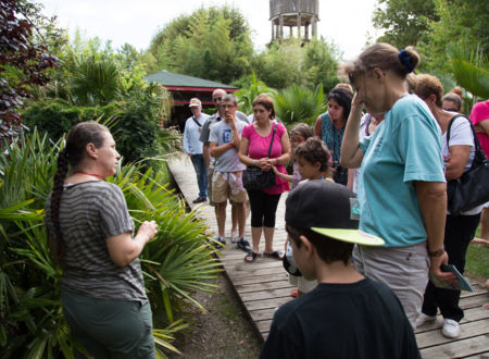 VISITE GUIDÉE DU JARDIN DES PLANTES 