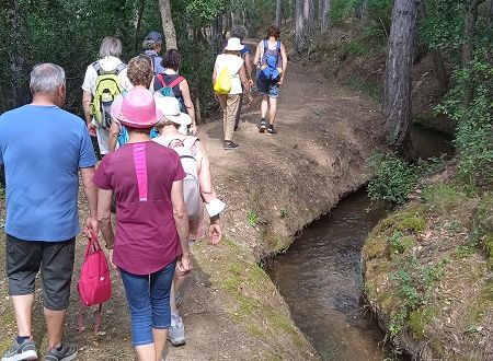 LES BALADES DU CONFLENT 