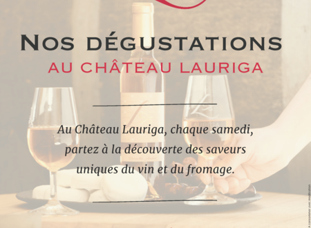 DÉGUSTATION VINS ET FROMAGES AU CHÂTEAU LAURIGA 