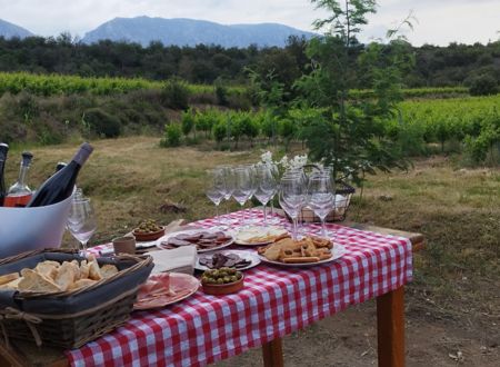 VIGNERON D'UN JOUR PAR VINO ENIGMA 