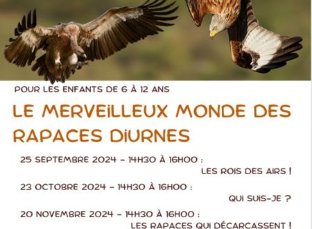 LES GRANDS RAPACES: QUI SUIS-JE? 