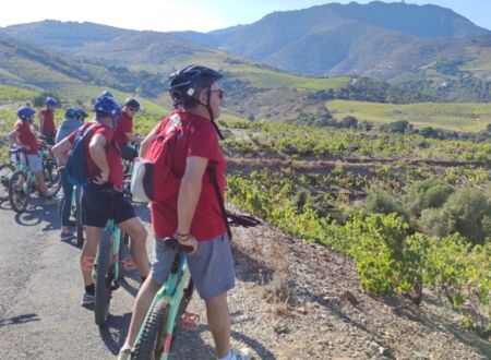 VISITE DU VIGNOBLES EN VTT ÉLECTRIQUE AU DOMAINE TAMBOUR 