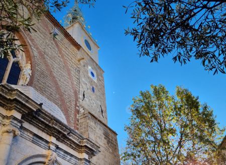 LA CATHÉDRALE, CONSERVATOIRE DES ARMOIRIES DE PERPIGNAN, NOUS RACONTE SON HISTOIRE 