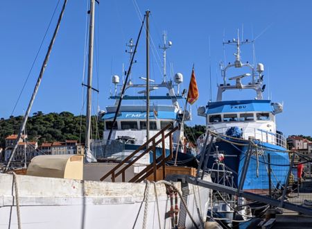 VISITE GUIDEE PORT-VENDRES AU FIL DE L'EAU 