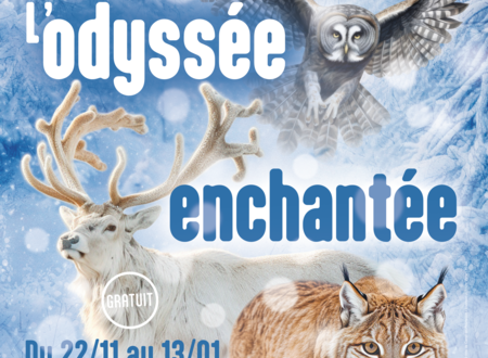 EXPOSITION : NOEL L' ODYSSÉE ENCHANTÉE 