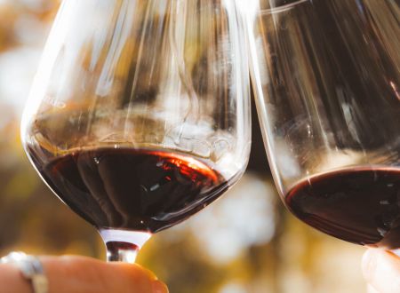 APERITIF VIGNERON AU DOMAINE VILLECLARE 