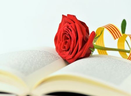 SANT JORDI A PORT-VENDRES 