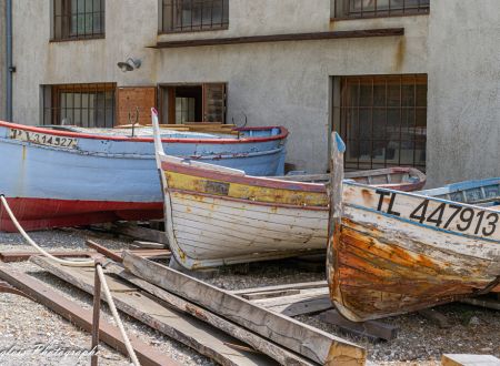 VISITE GUIDEE DE L'ATELIER DES BARQUES DE PAULILLES 
