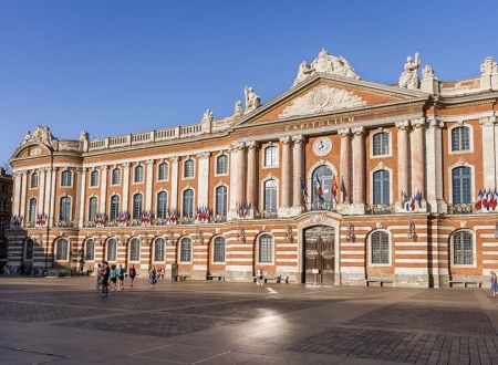 TOULOUSE Y SUS MONUMENTOS (VISITAS A PRECIOS CONGELADOS) 