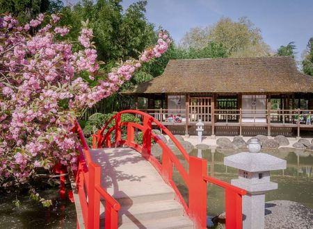 LE JARDIN JAPONAIS 