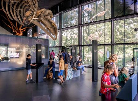 JOURNÉES EUROPÉENNES DU PATRIMOINE AU MUSÉUM 