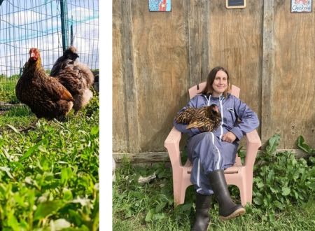 DE FERME EN FERME 2026 : 25 - SHOP TA POULE 