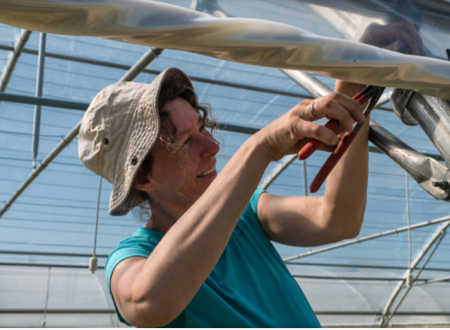 DE FERME EN FERME 2026 : 18 - LES JARDINS DU COMMINGES 