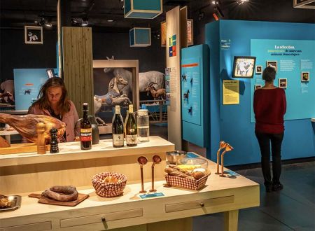 DOMESTIQUE-MOI SI TU PEUX ! 