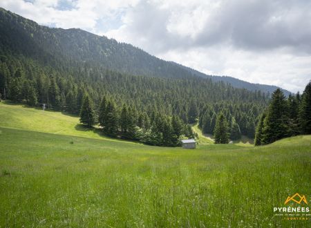 JOURNÉE MONTAGNE PROPRE 