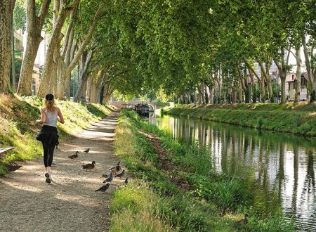 ARCHI FOOTING SUR LE CANAL DU MIDI 
