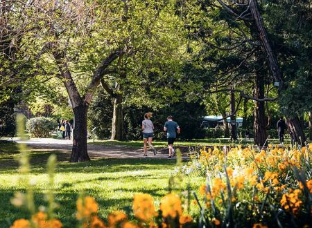 ARCHI FOOTING SUR LE CANAL DU MIDI 