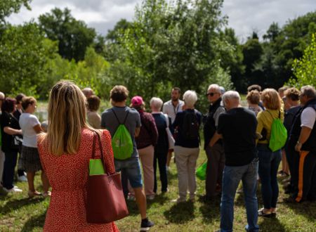 LES MARDIS RACONTÉS : VISITES GUIDÉES 