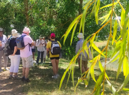 LES JEUDIS NATURE ET DÉCOUVERTES 