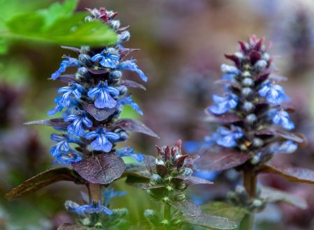 LES JEUDIS NATURE ET DÉCOUVERTES 