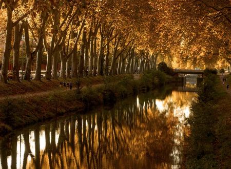 BALADE OLFACTIVE AU CANAL 