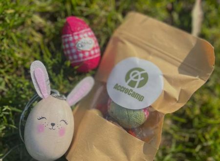 CHASSE AUX OEUFS CHEZ ACCROCAMP 