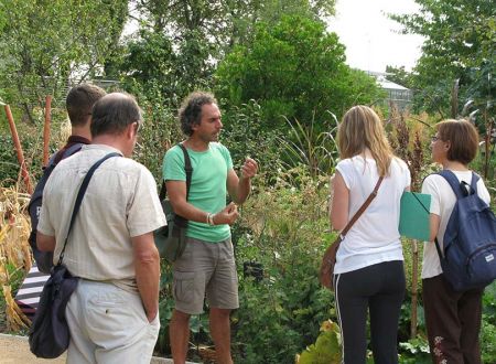BALADE BOTANIQUE À MONTAUDRAN 