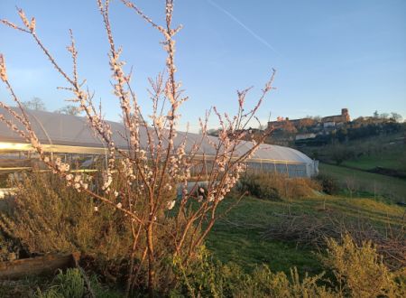 DE FERME EN FERME 2026 : 35 - LES JARDINS DE VERFEIL 