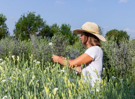 DE FERME EN FERME 2026 : 26 - CAMINA FLORI 