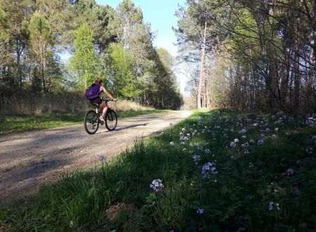 RANDO VELO DECOUVERTE 