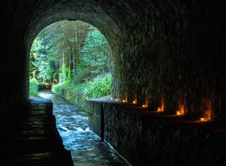 BALADE NOCTURNE EN FAMILLE DANS LA FORET DE L'AIGUILLE 
