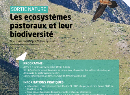 LES ECOSYSTEMES PASTORAUX ET LEUR BIODIVERSITÉ À LA CABANE DE LARREIX 