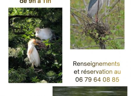 BALADE ORNITHOLOGIQUE 