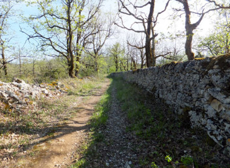 Journées Européennes du Patrimoine: Randonnée Pédestre à la Découverte du Petit Patrimoine de Cambayrac 