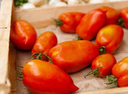 Marché d’Été de Saint Germain du Bel Air 