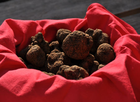 Fête de la truffe à Lalbenque 