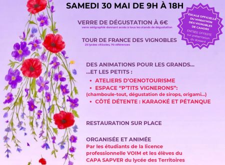 La Fête des vins au Domaine de Lacoste 