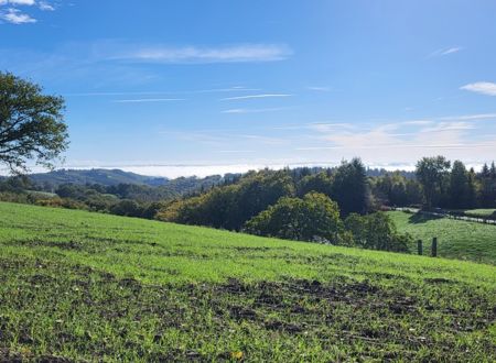 Journée du patrimoine à Labathude : visite guidée, Chataigneraie et sécadou 