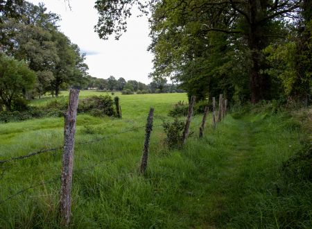 Randonnée avec Pique et Pousse en Quercy Blanc 