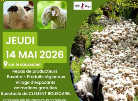 Fête de la brebis à Espédaillac 