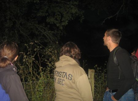 Nuit de la chauve-souris 