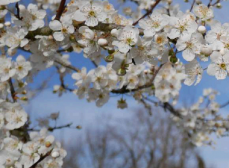 Randonnée pédestre Randoval 