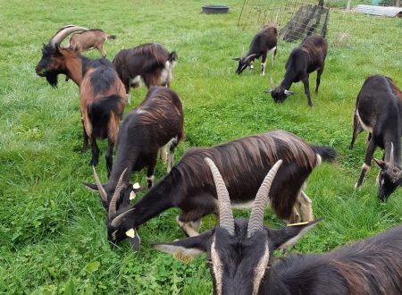 De ferme en ferme, Ferme du Lac des Termes à Issendolus 