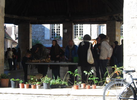 Autour de la botanique - Troc de plantes & balade botanique 